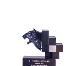 虎啸奖年度B2B案例奖